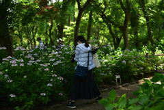 200602b長居植物園53