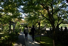 181018d化野念仏寺76