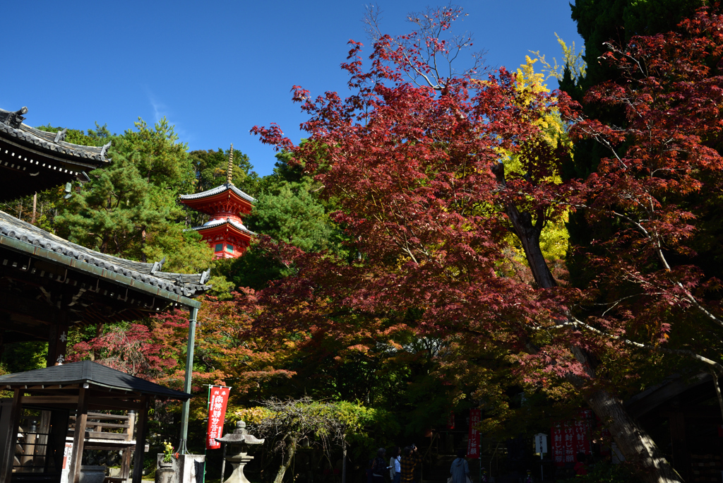 191110c今熊野観音寺05