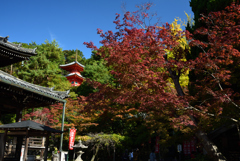 191110c今熊野観音寺05