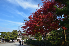 201210c建仁寺20