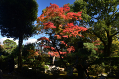 221115a旧竹林院31