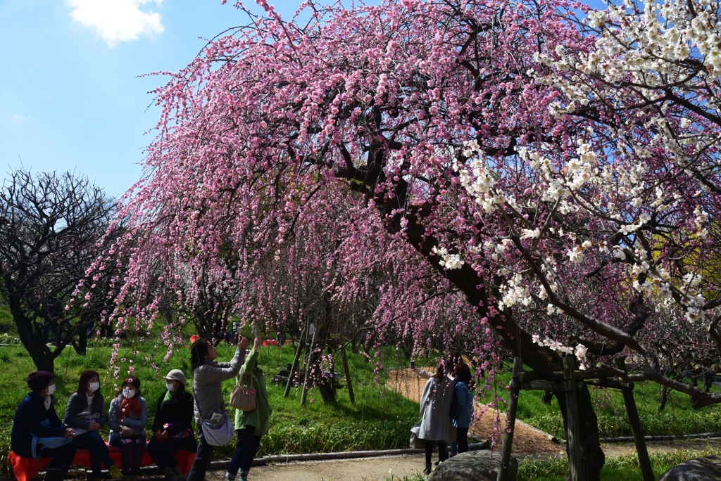 180310万博公園45
