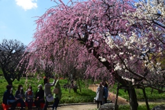 180310万博公園45