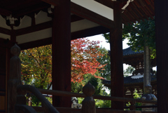 191110a宝塔寺23