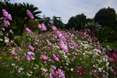 241025京都植物園01