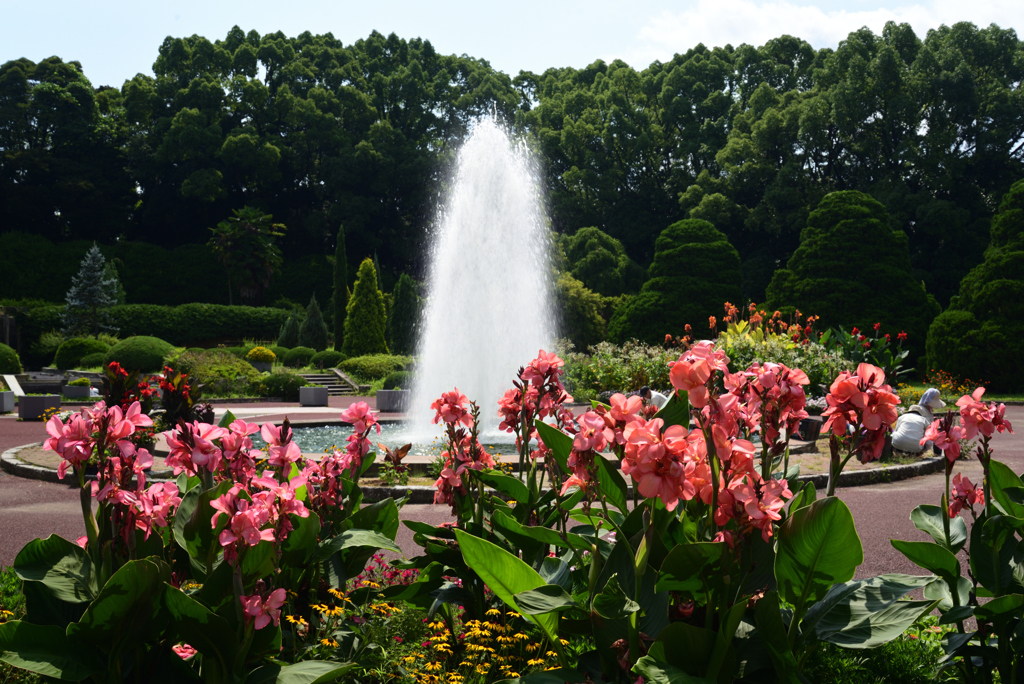 220725京都植物園12