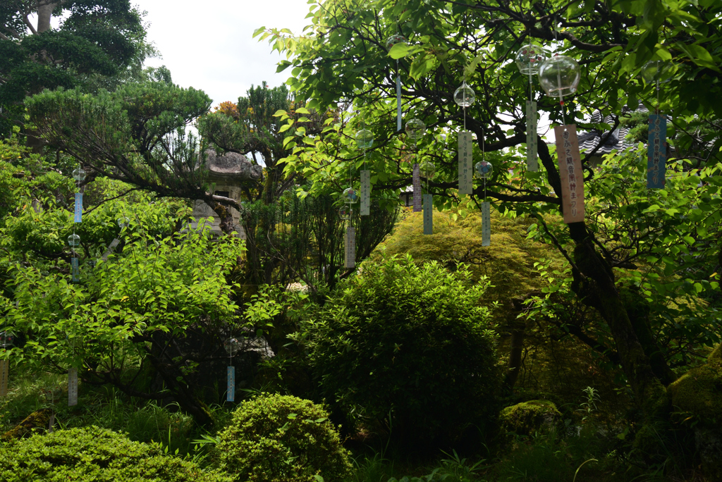 220720bおふさ観音33