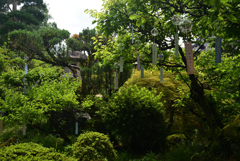 220720bおふさ観音33