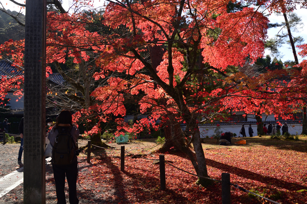221127a南禅寺12