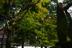 211024e南禅寺17