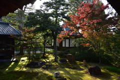 191117b建仁寺22