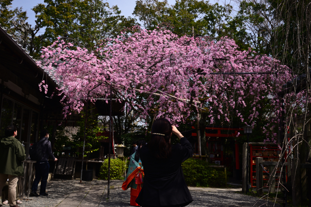 240330c水火天満宮05