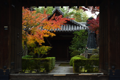 191124c妙心寺06