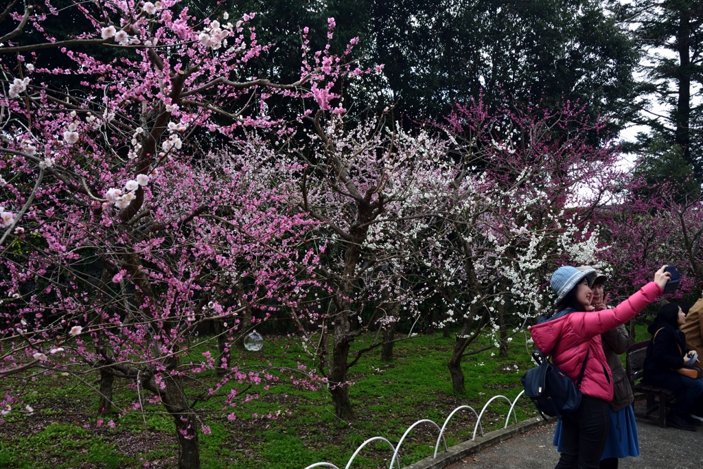 180318b北野天満宮59+