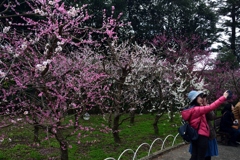 180318b北野天満宮59+