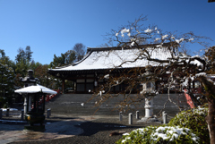 200209a妙満寺37 200209a妙満寺37