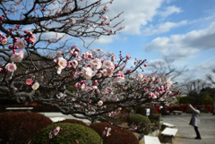 200219中山寺12 200219中山寺12