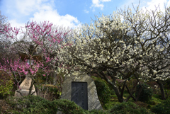 200219中山寺20 200219中山寺20