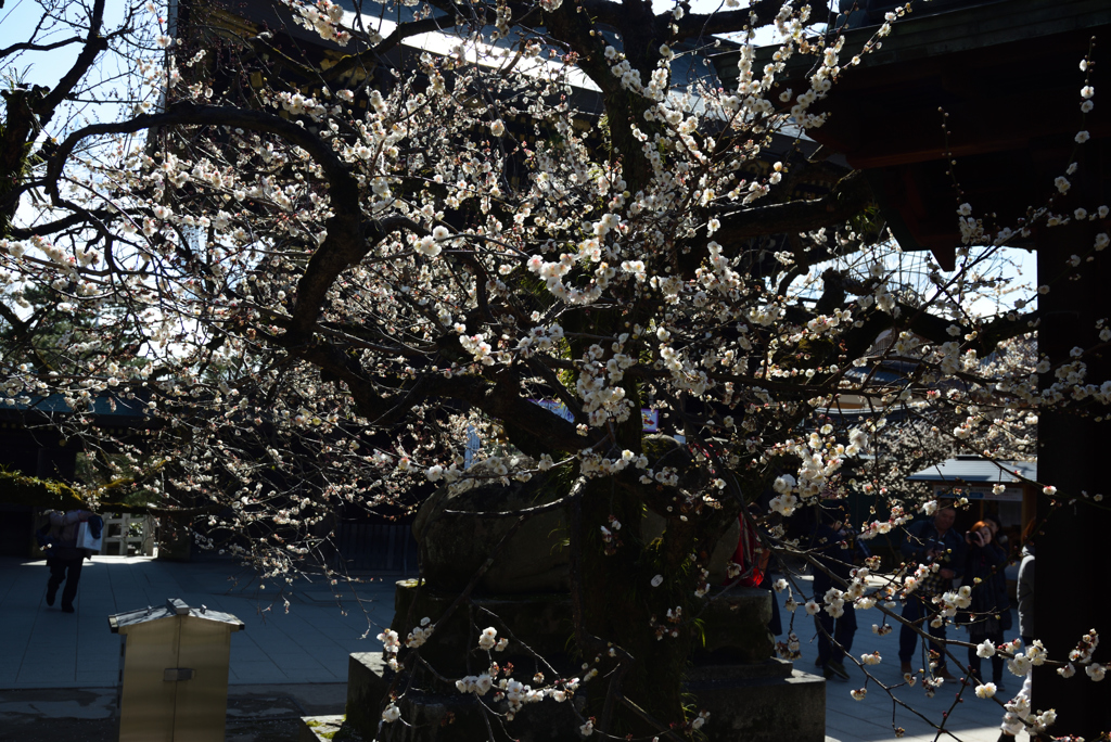 190223a北野天満宮76