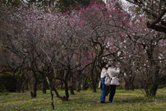 210309京都植物園44