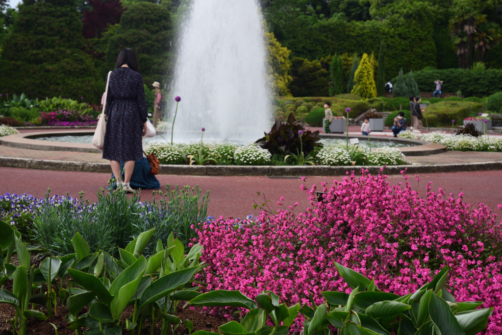 200520京都植物園31