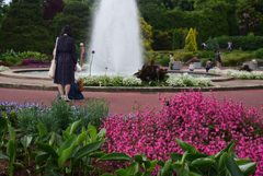 200520京都植物園31