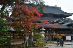 251125a豊川稲荷09