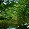 250708京都植物園40