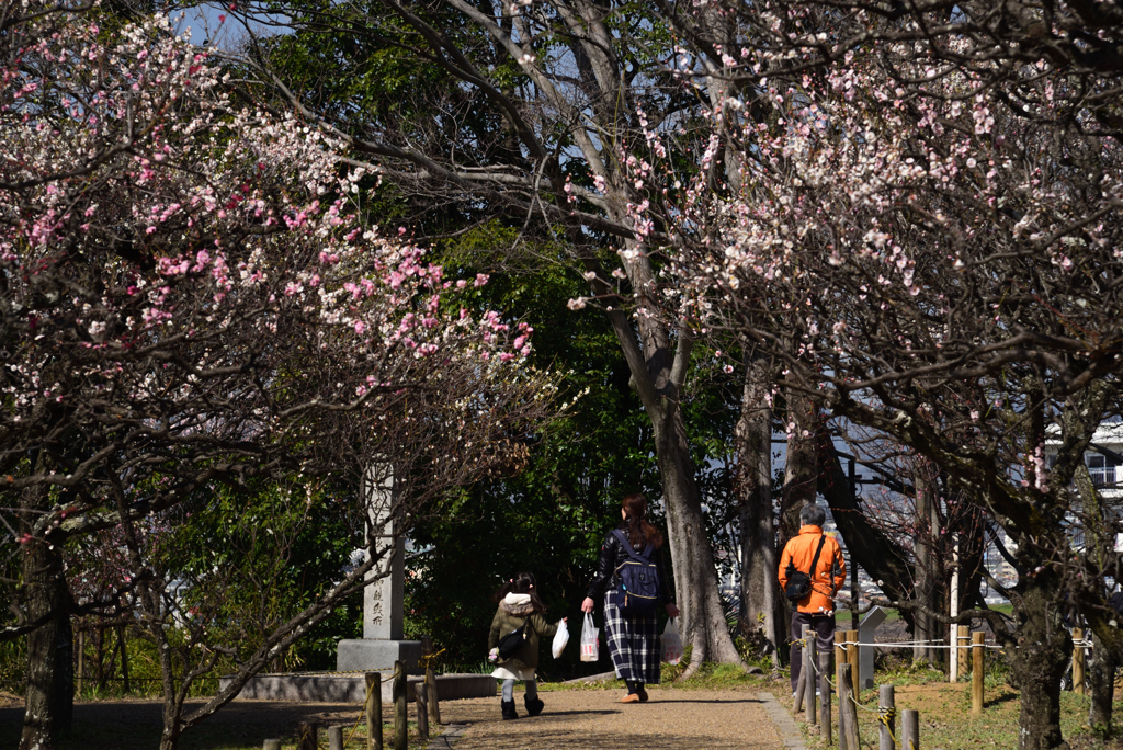 200224b意賀美神社19