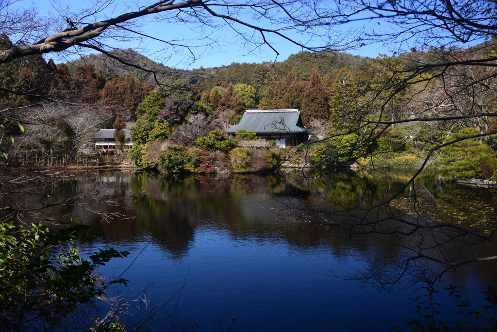 250121a龍安寺39