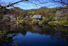 250121a龍安寺39