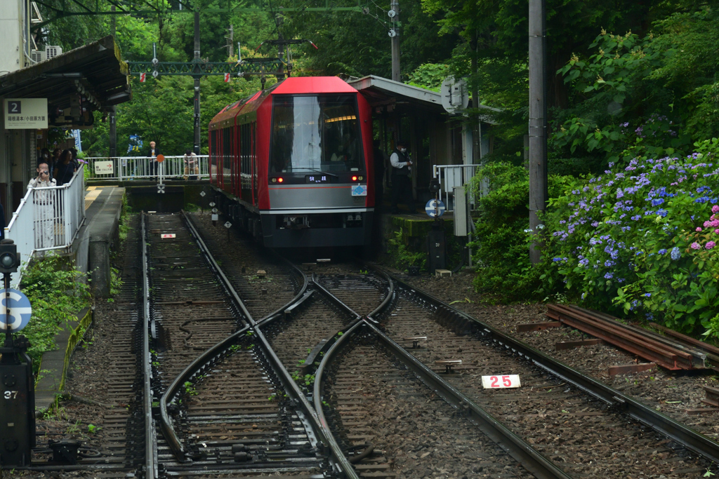 230623f箱根登山鉄道89大平台