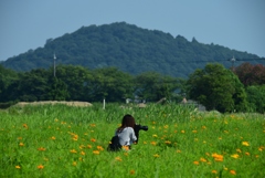 180715a藤原宮跡06