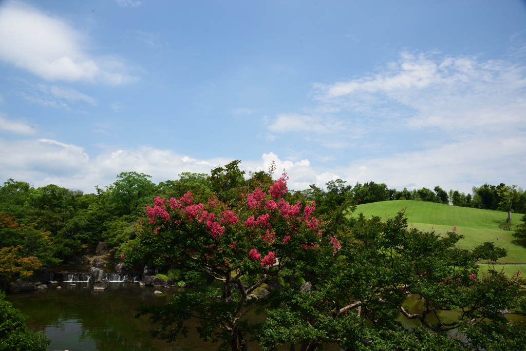 200802万博公園31