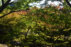 191028c智積院49