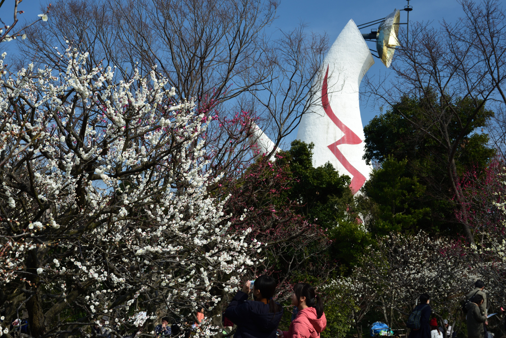 190302a万博公園67