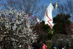 190302a万博公園67