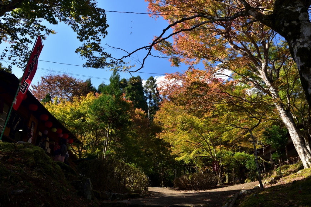 181103b神護寺12