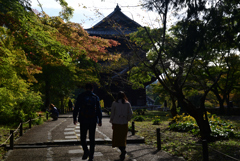 211024e南禅寺15