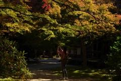 181103a西明寺41