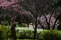 230320a京都植物園55