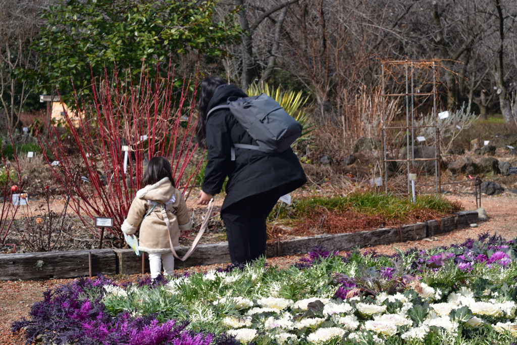 260131a京都植物園08