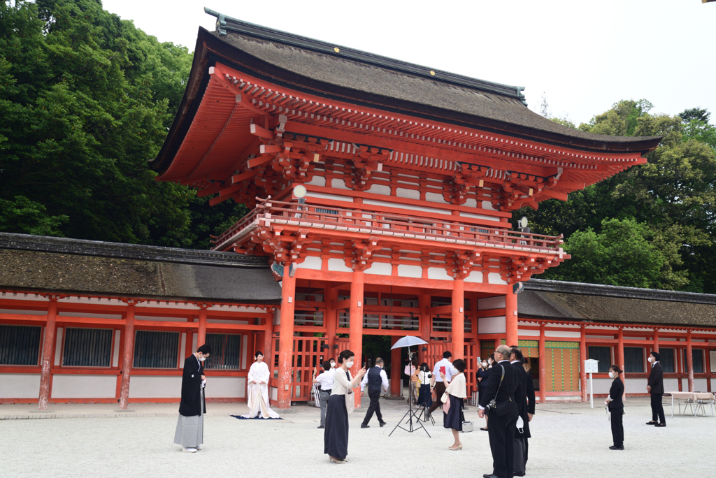 220605b下鴨神社06