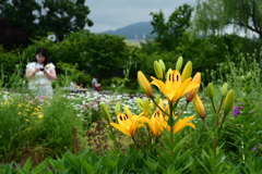 250601京都植物園48