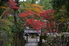 191122c興聖寺22