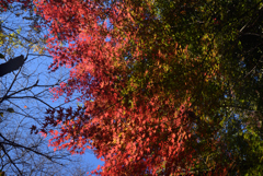 211129b不退寺17