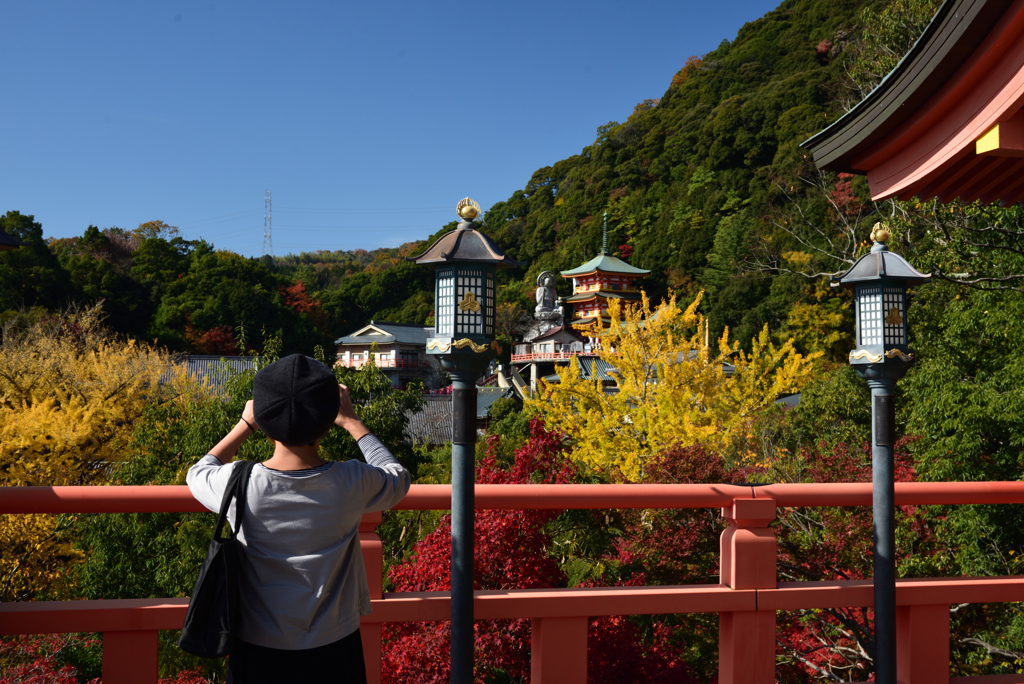 201118信貴山22