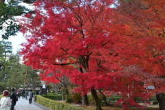 231202b相国寺08