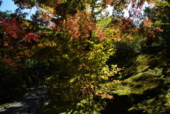 191109a天龍寺47